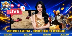 Whitehackle Gamefowl - Complete Guide For Enthusiasts